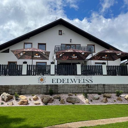 Wellness Hotel Edelweiss Ліберець Екстер'єр фото