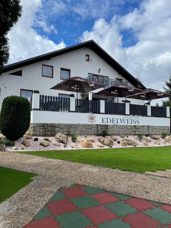 Wellness Hotel Edelweiss Ліберець Екстер'єр фото