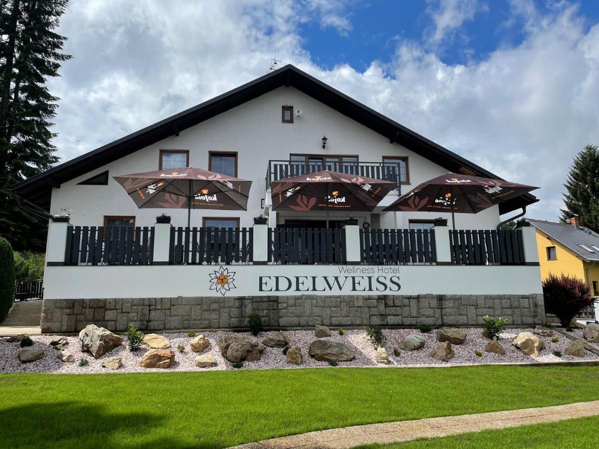 Wellness Hotel Edelweiss Ліберець Екстер'єр фото